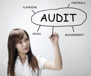 Audit Software 