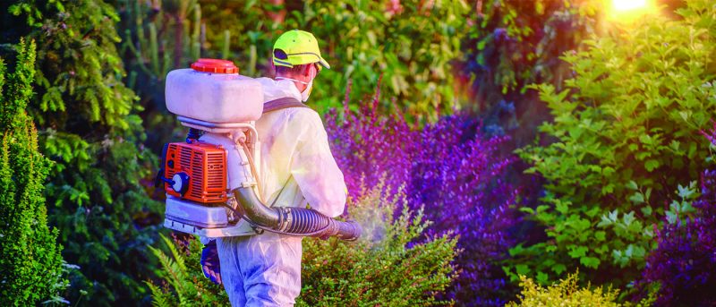 Pest Control Management