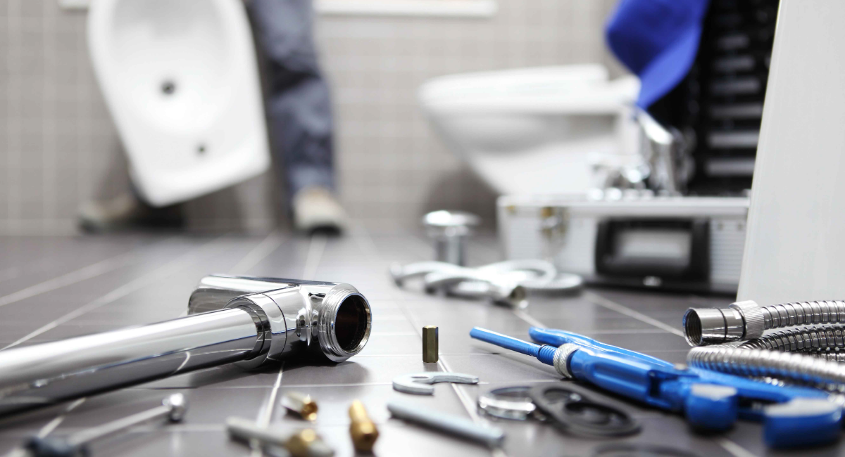professional service industry
