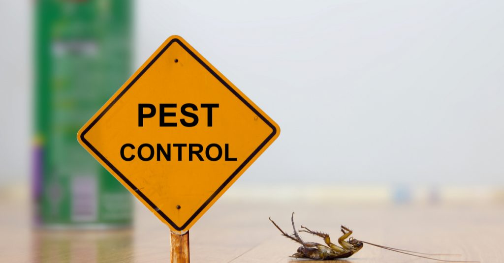 pest control