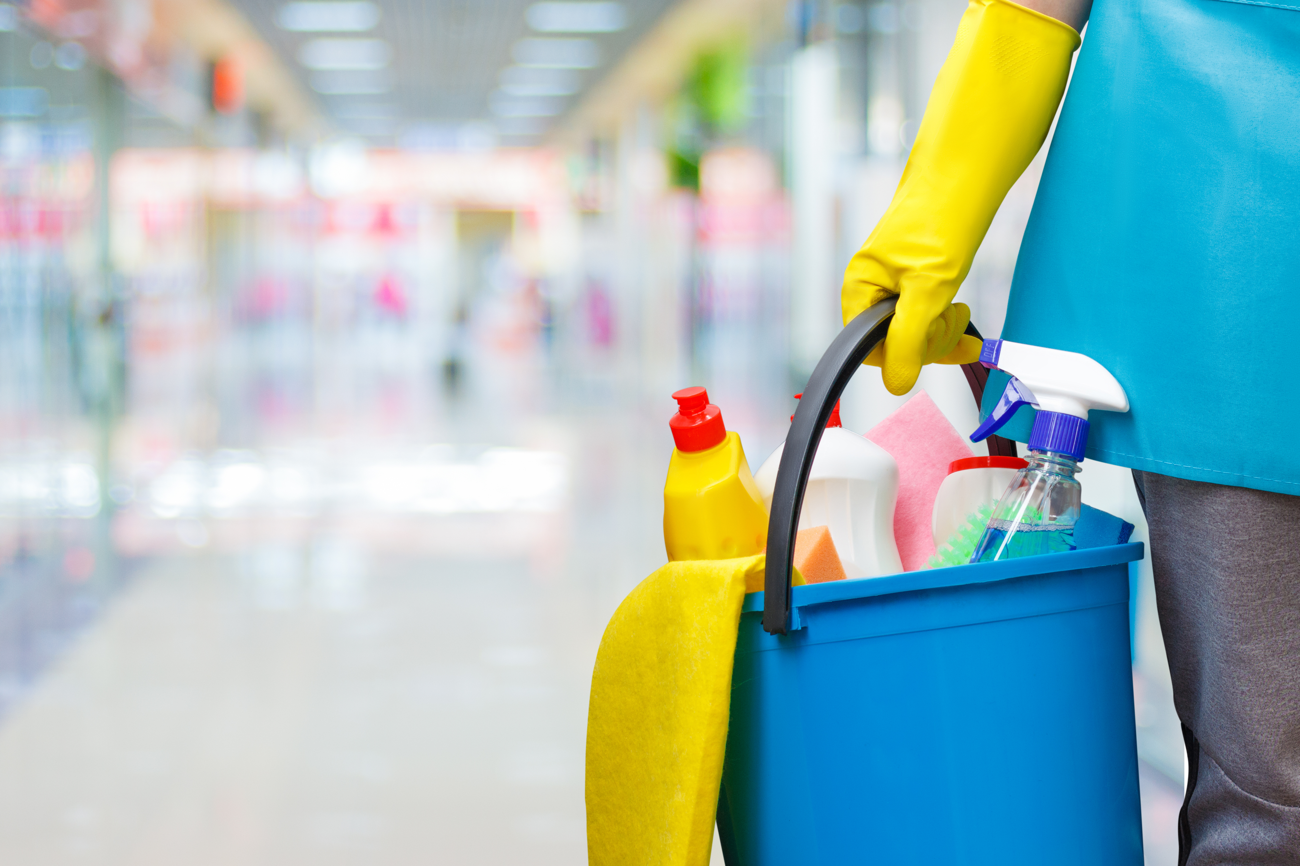 cleaning service software
