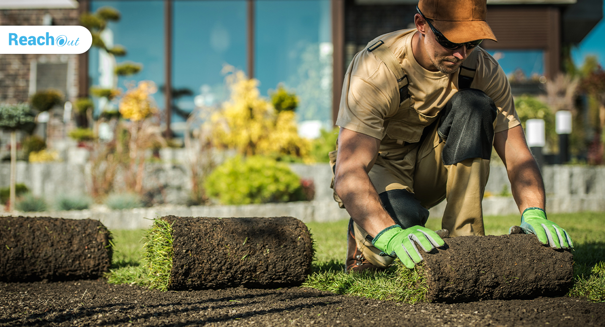 Commercial landscaping